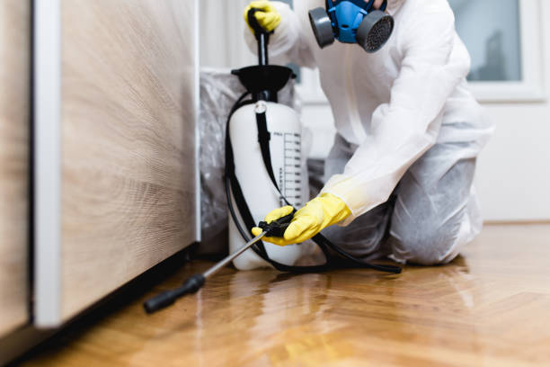 Best Local Pest Control Services  in Montgomery, TX