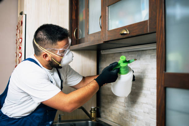 Best Ant Control Services  in Montgomery, TX