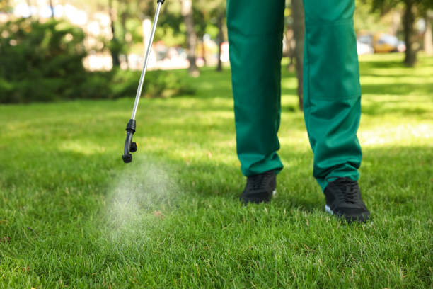 Best Affordable Pest Control Services  in Montgomery, TX