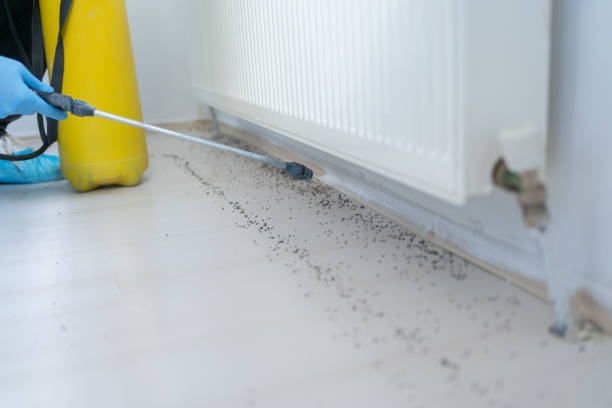Best Cockroach Control Services  in Montgomery, TX