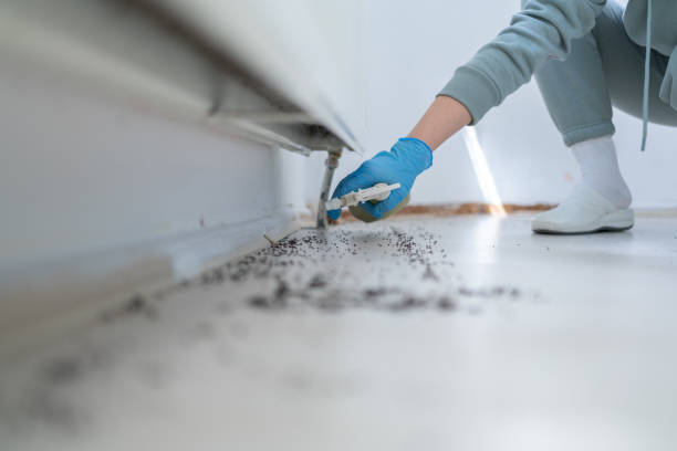 Best Wildlife Control Services  in Montgomery, TX